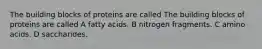 The building blocks of proteins are called The building blocks of proteins are called A fatty acids. B nitrogen fragments. C amino acids. D saccharides.