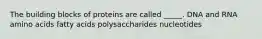 The building blocks of proteins are called _____. DNA and RNA amino acids fatty acids polysaccharides nucleotides