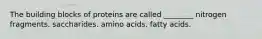 The building blocks of proteins are called ________ nitrogen fragments. saccharides. amino acids. fatty acids.