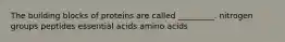The building blocks of proteins are called _________. nitrogen groups peptides essential acids amino acids