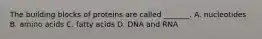 The building blocks of proteins are called _______. A. nucleotides B. amino acids C. fatty acids D. DNA and RNA