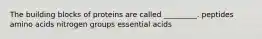 The building blocks of proteins are called _________. peptides amino acids nitrogen groups essential acids