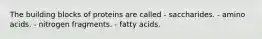 The building blocks of proteins are called - saccharides. - amino acids. - nitrogen fragments. - fatty acids.