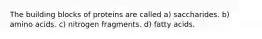 The building blocks of proteins are called a) saccharides. b) amino acids. c) nitrogen fragments. d) fatty acids.