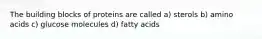 The building blocks of proteins are called a) sterols b) amino acids c) glucose molecules d) fatty acids