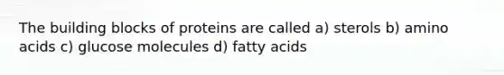 The building blocks of proteins are called a) sterols b) amino acids c) glucose molecules d) fatty acids