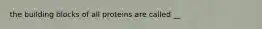 the building blocks of all proteins are called __