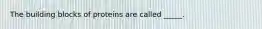 The building blocks of proteins are called _____.