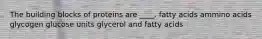 The building blocks of proteins are ____. fatty acids ammino acids glycogen glucose units glycerol and fatty acids