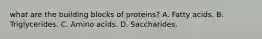 what are the building blocks of proteins? A. Fatty acids. B. Triglycerides. C. Amino acids. D. Saccharides.