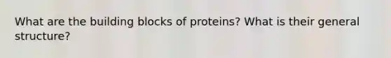 What are the building blocks of proteins? What is their general structure?