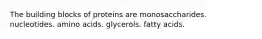 The building blocks of proteins are monosaccharides. nucleotides. amino acids. glycerols. fatty acids.