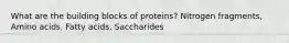 What are the building blocks of proteins? Nitrogen fragments, Amino acids, Fatty acids, Saccharides