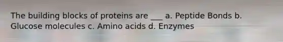 The building blocks of proteins are ___ a. Peptide Bonds b. Glucose molecules c. Amino acids d. Enzymes