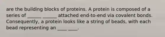 are the building blocks of proteins. A protein is composed of a series of ______ ______ attached end-to-end via covalent bonds. Consequently, a protein looks like a string of beads, with each bead representing an ____ ____.