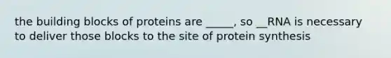 the building blocks of proteins are _____, so __RNA is necessary to deliver those blocks to the site of protein synthesis