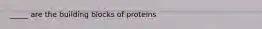 _____ are the building blocks of proteins