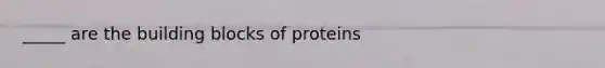 _____ are the building blocks of proteins