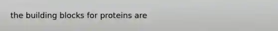 the building blocks for proteins are