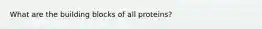 What are the building blocks of all proteins?