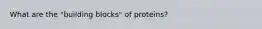 What are the "building blocks" of proteins?