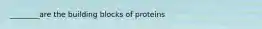 ________are the building blocks of proteins