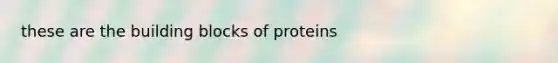 these are the building blocks of proteins