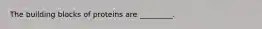 The building blocks of proteins are _________.