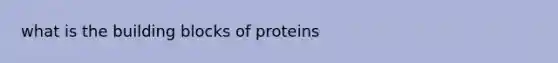 what is the building blocks of proteins