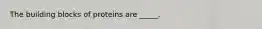 The building blocks of proteins are _____.