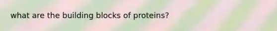 what are the building blocks of proteins?