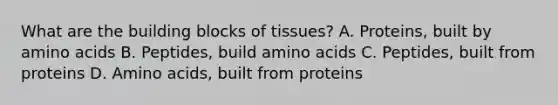 What are the building blocks of tissues? A. Proteins, built by amino acids B. Peptides, build amino acids C. Peptides, built from proteins D. Amino acids, built from proteins