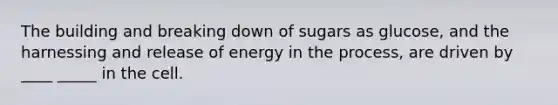 The building and breaking down of sugars as glucose, and the harnessing and release of energy in the process, are driven by ____ _____ in the cell.