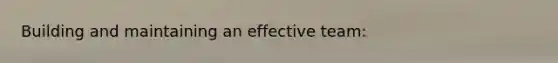 Building and maintaining an effective team: