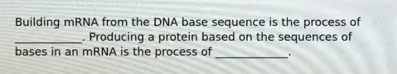 Building mRNA from the DNA base sequence is the process of ____________. Producing a protein based on the sequences of bases in an mRNA is the process of _____________.