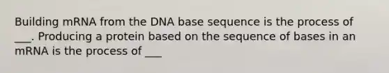 Building mRNA from the DNA base sequence is the process of ___. Producing a protein based on the sequence of bases in an mRNA is the process of ___