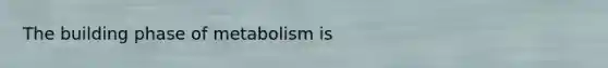 The building phase of metabolism is