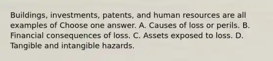 Buildings, investments, patents, and human resources are all examples of Choose one answer. A. Causes of loss or perils. B. Financial consequences of loss. C. Assets exposed to loss. D. Tangible and intangible hazards.