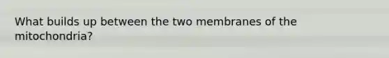 What builds up between the two membranes of the mitochondria?