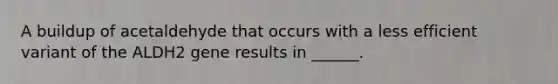 A buildup of acetaldehyde that occurs with a less efficient variant of the ALDH2 gene results in ______.