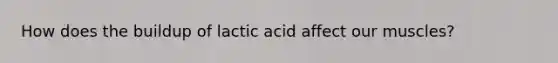 How does the buildup of lactic acid affect our muscles?