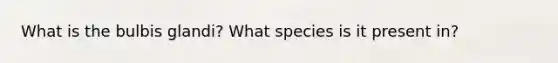 What is the bulbis glandi? What species is it present in?