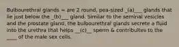 Bulbourethral glands = are 2 round, pea-sized _(a)___ glands that lie just below the _(b)___ gland. Similar to the seminal vesicles and the prostate gland, the bulbourethral glands secrete a fluid into the urethra that helps __(c)__ sperm & contribultes to the ____ of the male sex cells.