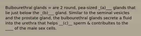 Bulbourethral glands = are 2 round, pea-sized _(a)___ glands that lie just below the _(b)___ gland. Similar to the seminal vesicles and the prostate gland, the bulbourethral glands secrete a fluid into the urethra that helps __(c)__ sperm & contribultes to the ____ of the male sex cells.