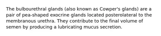 The bulbourethral glands (also known as Cowper's glands) are a pair of pea-shaped exocrine glands located posterolateral to the membranous urethra. They contribute to the final volume of semen by producing a lubricating mucus secretion.