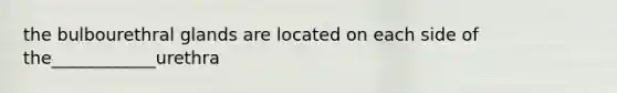 the bulbourethral glands are located on each side of the____________urethra