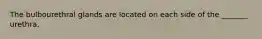 The bulbourethral glands are located on each side of the _______ urethra.