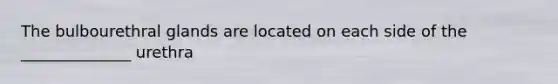 The bulbourethral glands are located on each side of the ______________ urethra