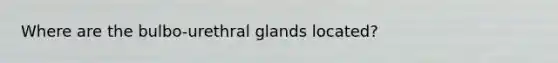 Where are the bulbo-urethral glands located?