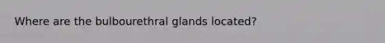 Where are the bulbourethral glands located?